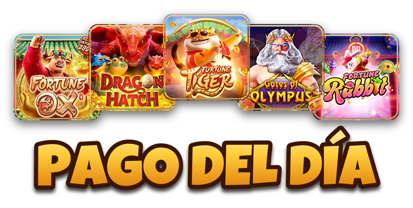 Pago del Día